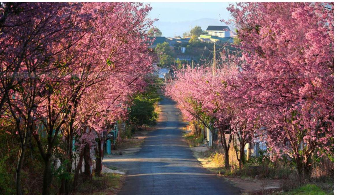 Na Ni Hotel Dalat Luaran gambar