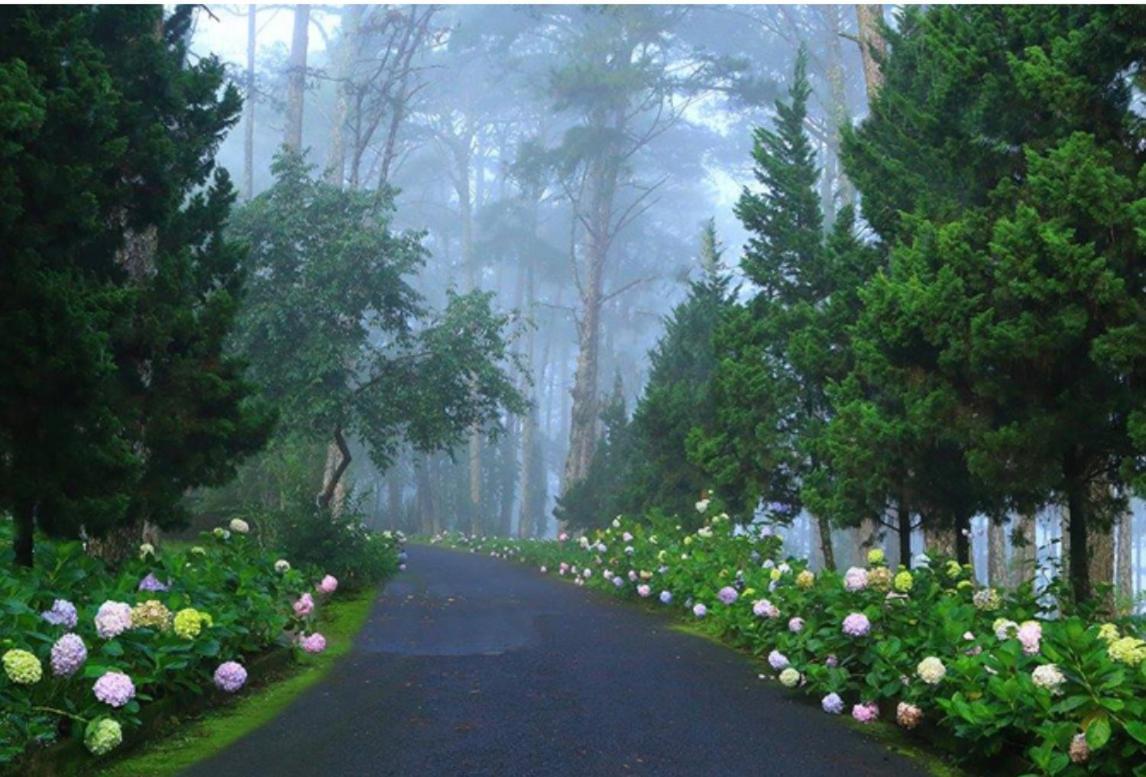Na Ni Hotel Dalat Luaran gambar